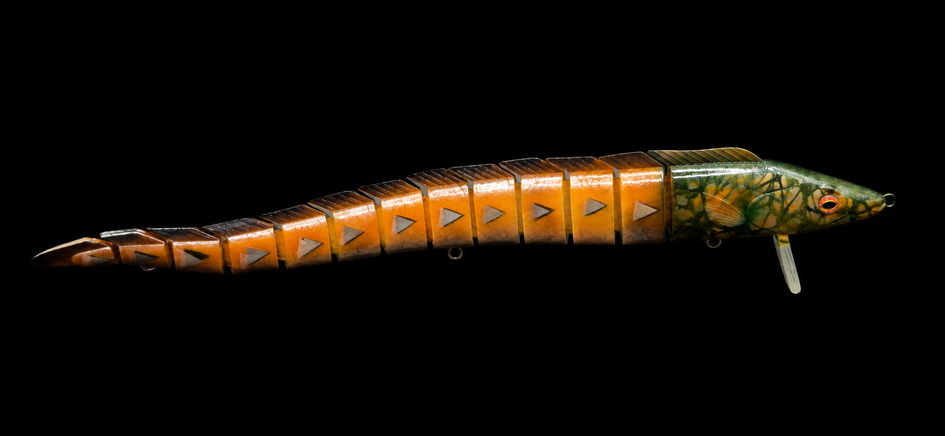 Custom painted eel