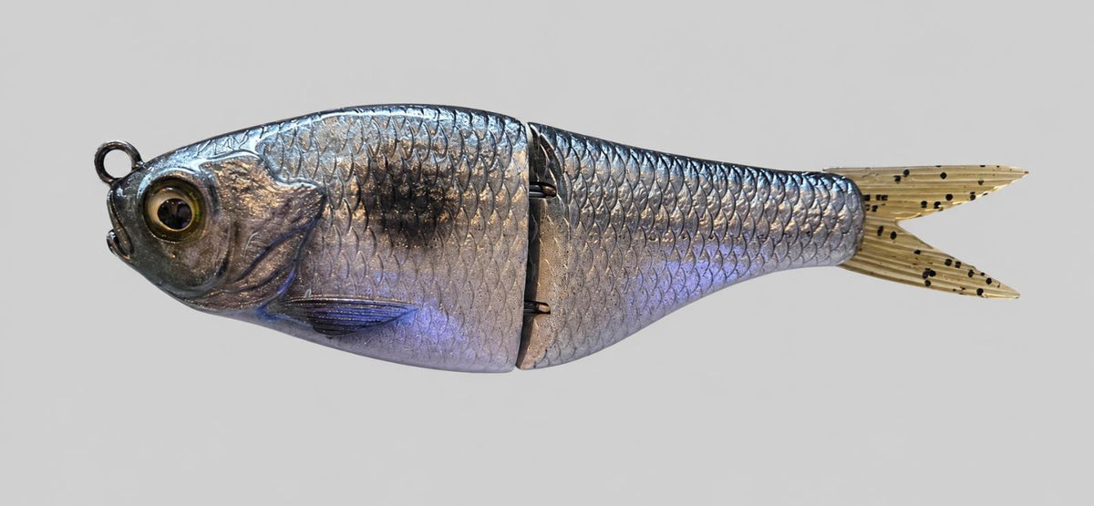 Shad checkmate lure