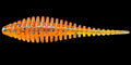 bellow worm