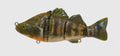 Blue gill iron maiden